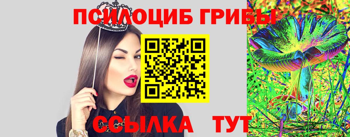 Галлюциногенные грибы прущие грибы Каменск-Уральский