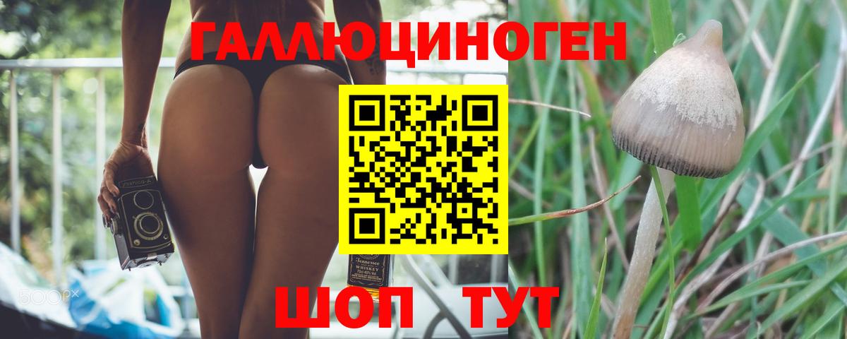 Каменск-Уральский  Псилоцибиновые грибы Psilocybe  Вход с VPN 