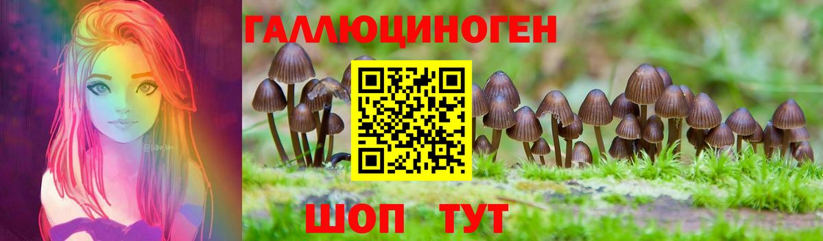 МЕФ Каменск-Уральский